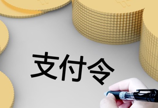 在法院怎么申请支付令